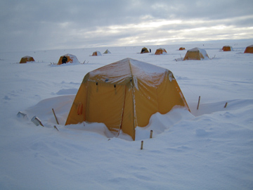 Tents where research is being conducted dot an ice field in Greenland.
