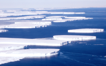 Polar Ice Sheets