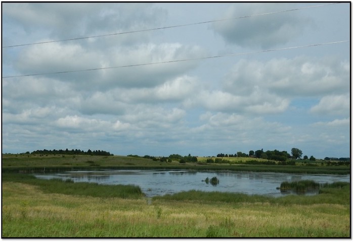 Constructed wetland in the Le Sueur River Basin, named Maple Wetland, it was constructed about 15 years ago and is a fluvial wetland on a tributary to the Maple River.