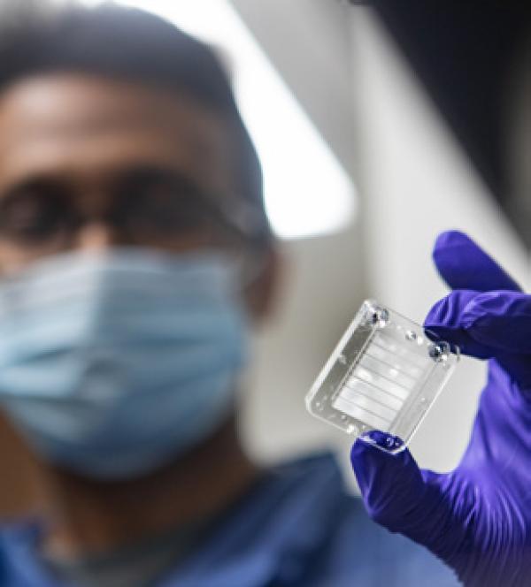 a gloved person holding a transparent chip