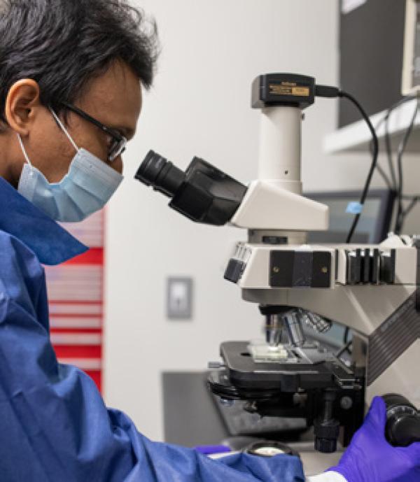 Person looking at a sample in a microscope