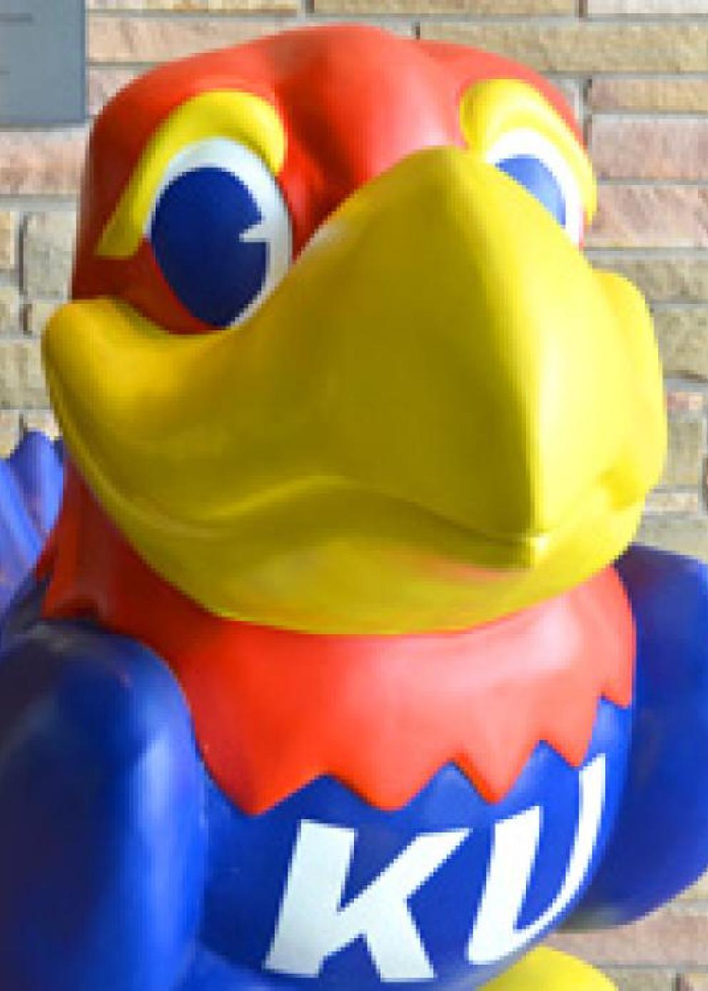 Jayhawk Person Profile placeholder